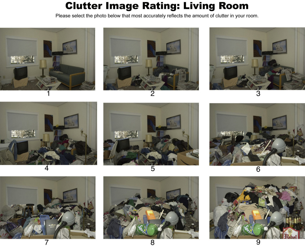 Clutter Image Rating Scale (CIRS)