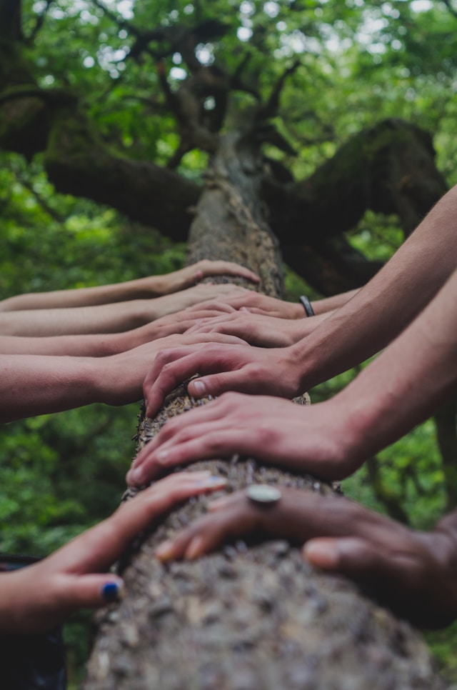 Naturaleza y salud mental